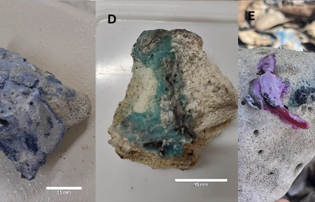 Plastic Fused to Coral Rubble Raises new Concerns About Ocean Pollution