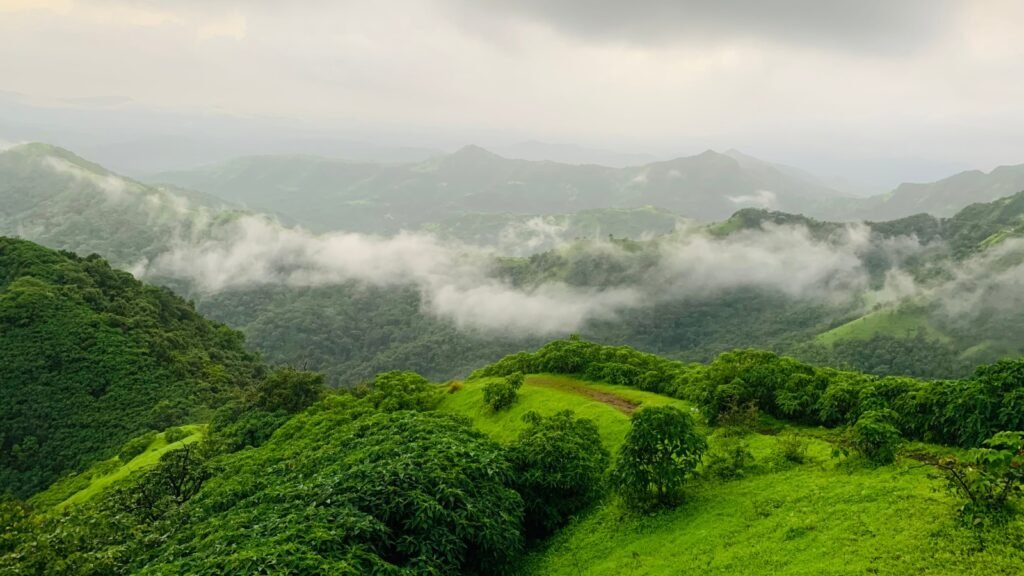 Western Ghats ESA Draft Faces Opposition from Six States, Raising Concerns Over Conservation