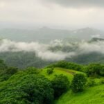 Western Ghats ESA Draft Faces Opposition from Six States, Raising Concerns Over Conservation