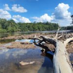 Extreme Drought and Heat During 2023–2024 El Niño May Become the New Normal for Tropical Forests, Study Warns