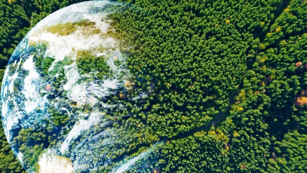 Pangea’s Tropical Forests Collapse kept Earth in a hothouse for five Million years, Study finds