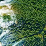 Pangea’s Tropical Forests Collapse kept Earth in a hothouse for five Million years, Study finds