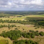 Florida Protects Nearly 1,500 Acres of Ranchland With $8.7 Million Conservation Agreements