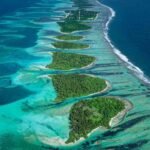 Rewilding Atoll Islands Could Help Them Keep Pace With Rising Sea Levels, Study Finds