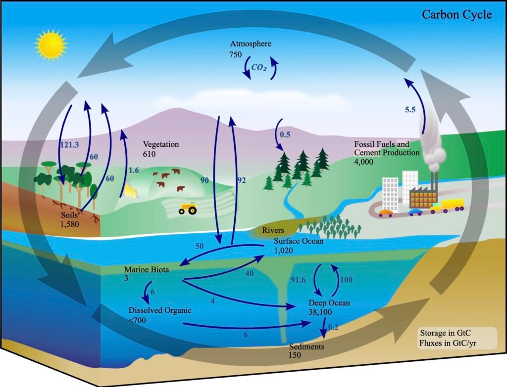 Indian Ocean Seasonal Carbon Absorption Patterns Shift as Climate Warms Study Finds