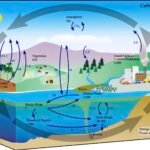 Indian Ocean Seasonal Carbon Absorption Patterns Shift as Climate Warms Study Finds