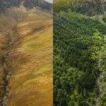 Scotland’s Carrifran Valley Reborn With 750,000 Native Trees Through Community Led Rewilding