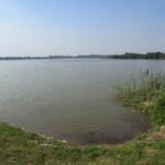 Siltation and Invasive Weeds Pose Major Challenges to Newly Designated Sukhna Wetland Ramsar Site