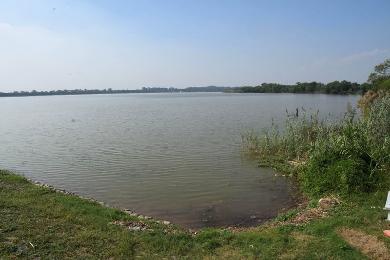 Siltation and Invasive Weeds Pose Major Challenges to Newly Designated Sukhna Wetland Ramsar Site