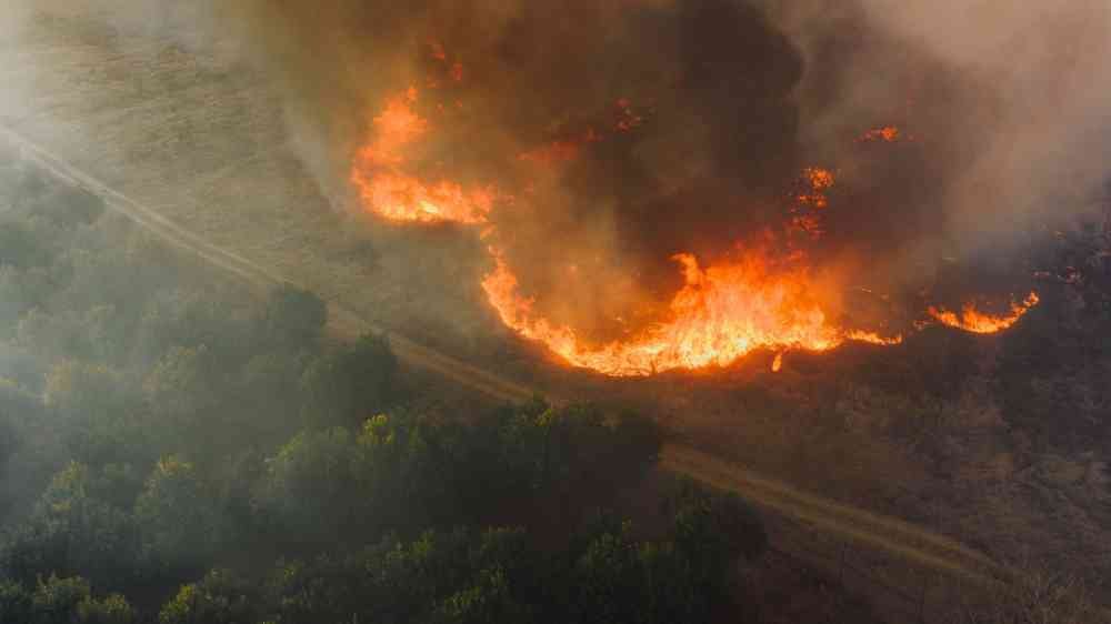 Australia Bushfire Crisis Linked to Colonial Era Land Use Changes, Study Finds