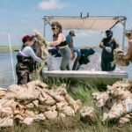 Recycled Glass Sand Offers New Hope for Louisiana’s Eroding Coastline Study Finds