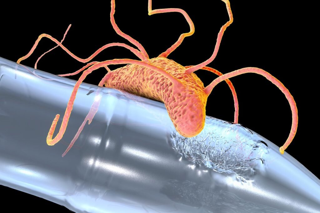 Scientists Discover ‘Pac-Man’ Enzyme That Helps Bacteria Break Down Bioplastics in Just 250 Days