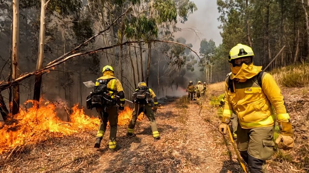 Measuring Wildfire Plumes Could Help Predict Extreme Fire Behaviour