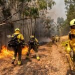 Measuring Wildfire Plumes Could Help Predict Extreme Fire Behaviour