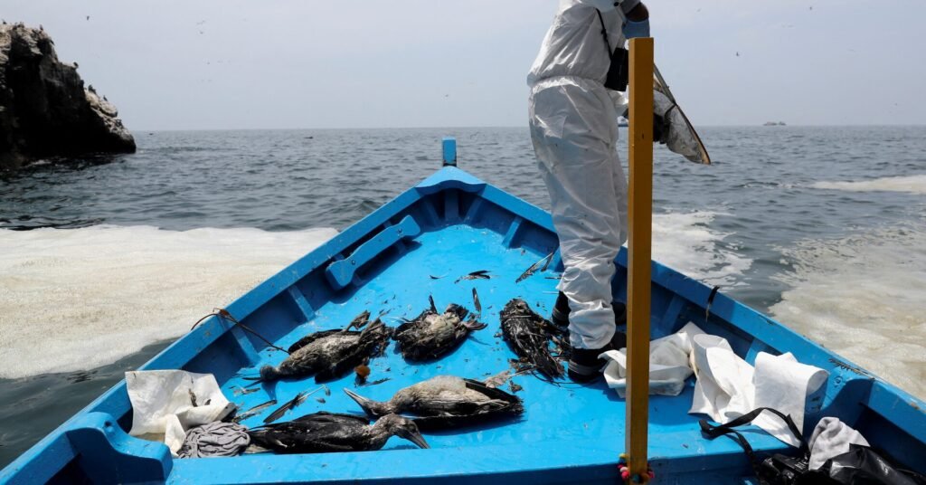 Nations Agree on High Risk Areas for Seabirds but Delay New Protections Against Fishing Related Deaths