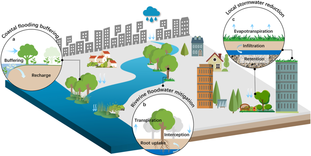 Flood Prone Communities Challenge ‘Resilience’ Approach, Demand Stronger Government Protection